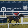 Newbury Racecourse